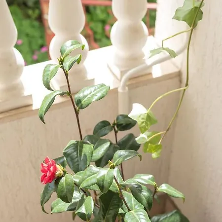 Apartman Kiara Hana דירה *